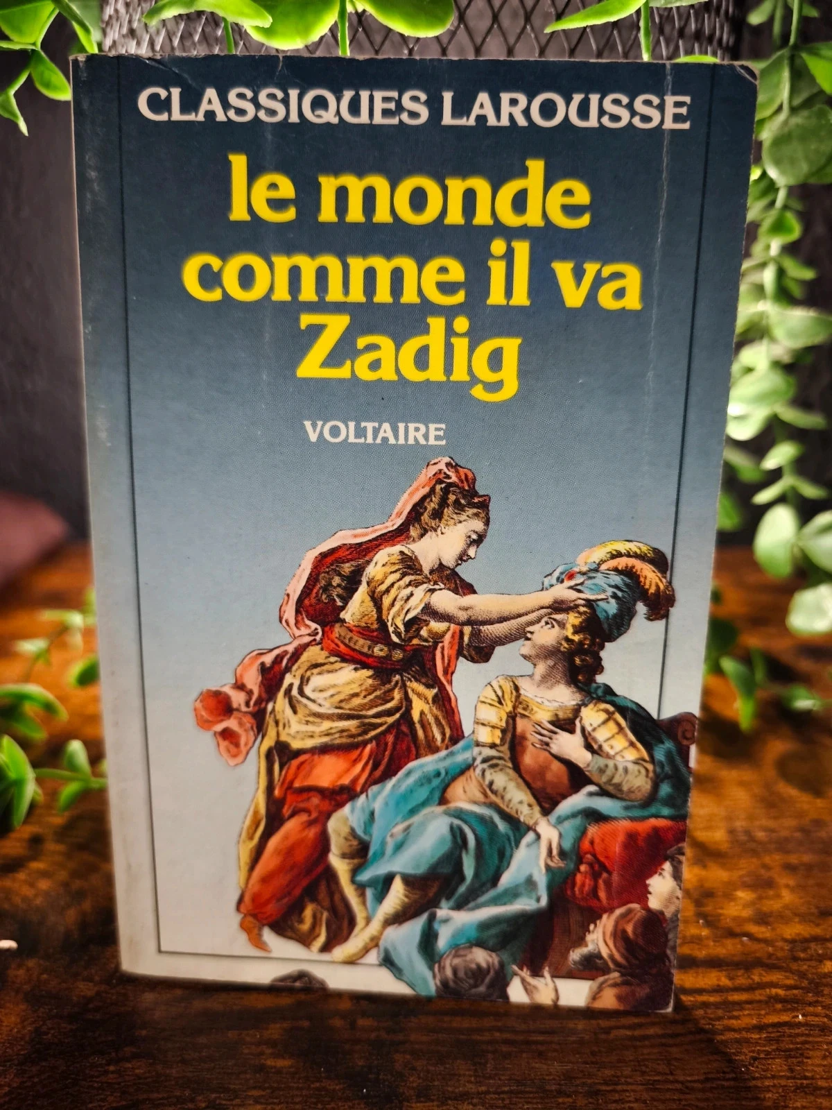 Le monde comme il va Zadig